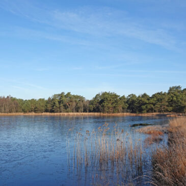 Catspoele (Delleboersterheide)