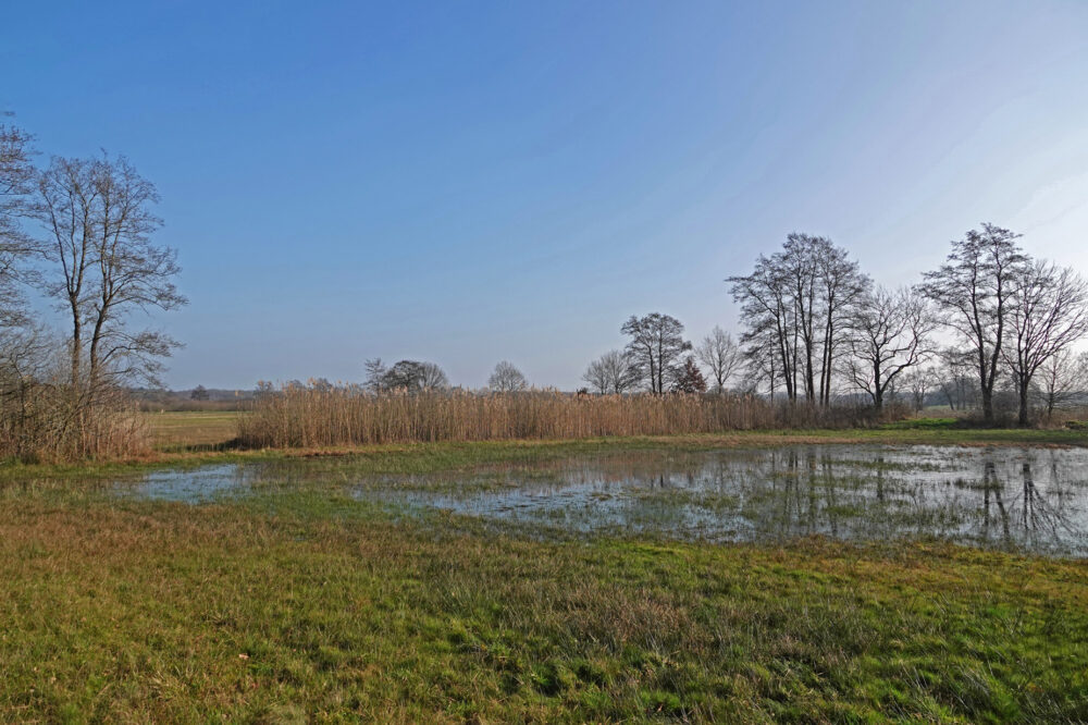 Dal Overijsselse Vecht