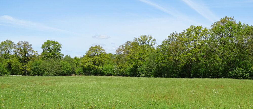 Dal van Anlooërdiepje (Drentsche Aa)