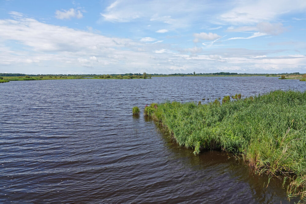 Dannemeer (&#039;t Roegwold)