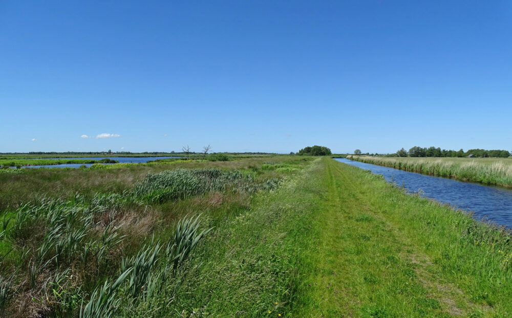De Bolmert (Onlanden)