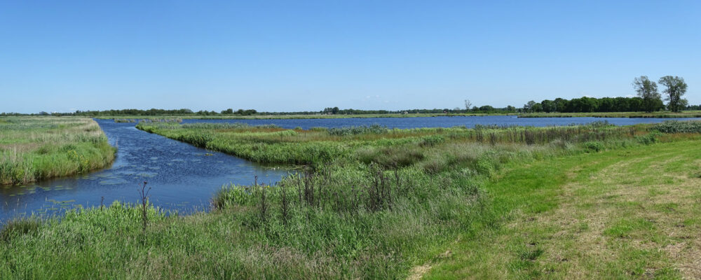 De Bolmert (Onlanden)