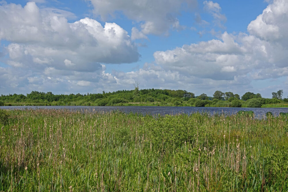 De Bolmert