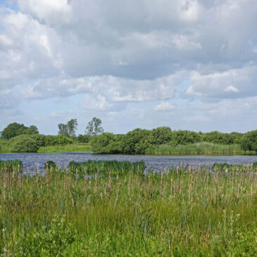 De Bolmert (Onlanden)
