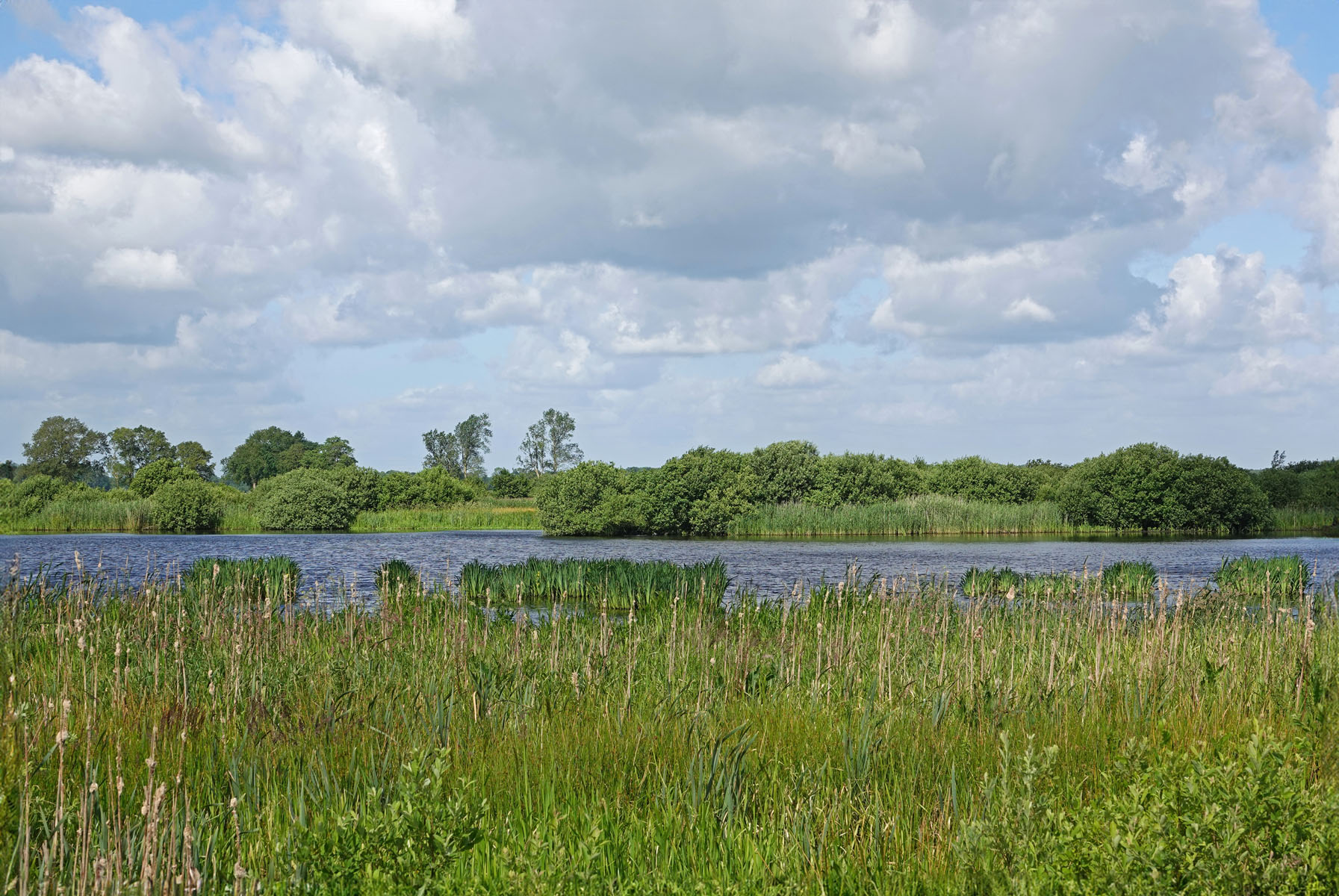 De Bolmert (Onlanden)