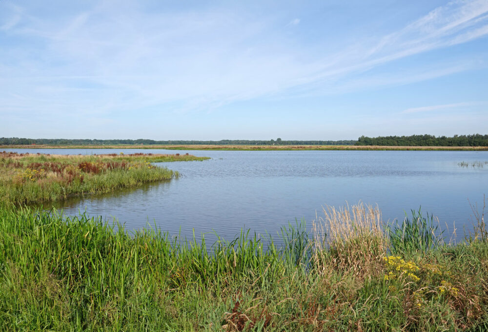 De Branden
