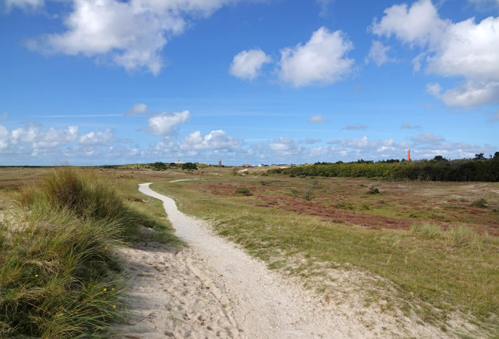 De Grafelijkheidsduinen