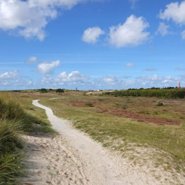De Grafelijkheidsduinen