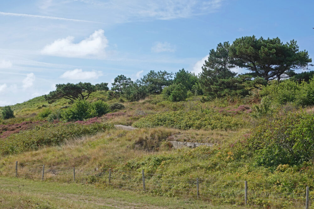 De Grafelijkheidsduinen
