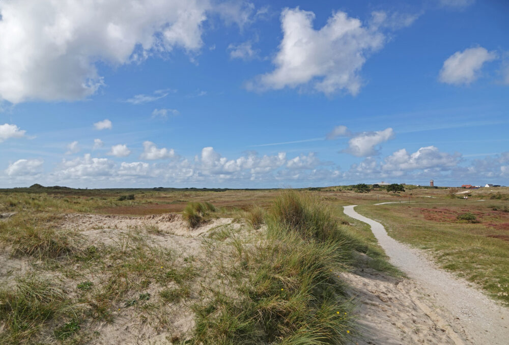 De Grafelijkheidsduinen