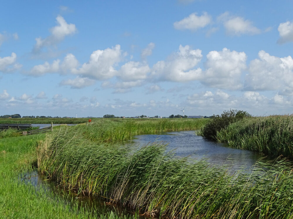 De Heanmar