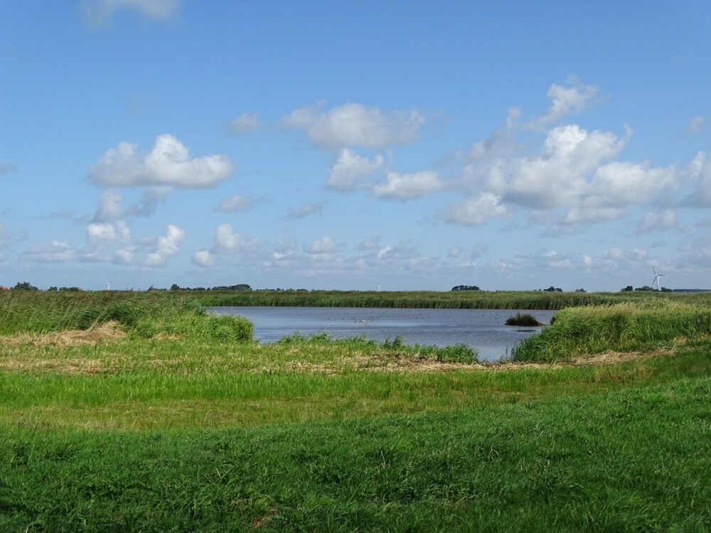 De Heanmar