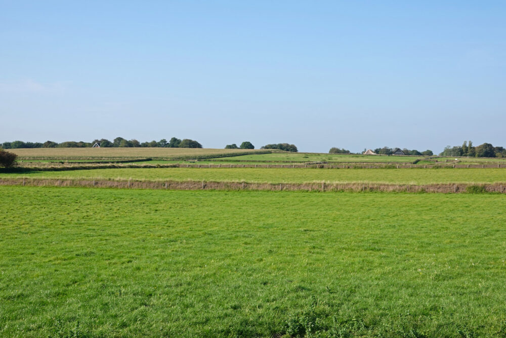 De Hoge Berg (Texel)