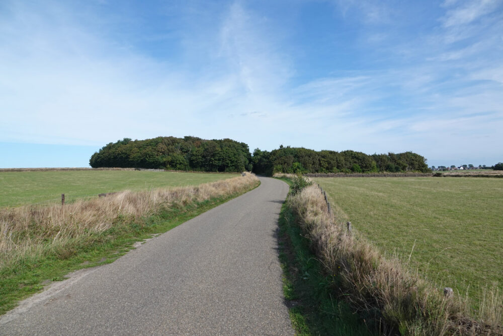 De Hoge Berg (Texel)