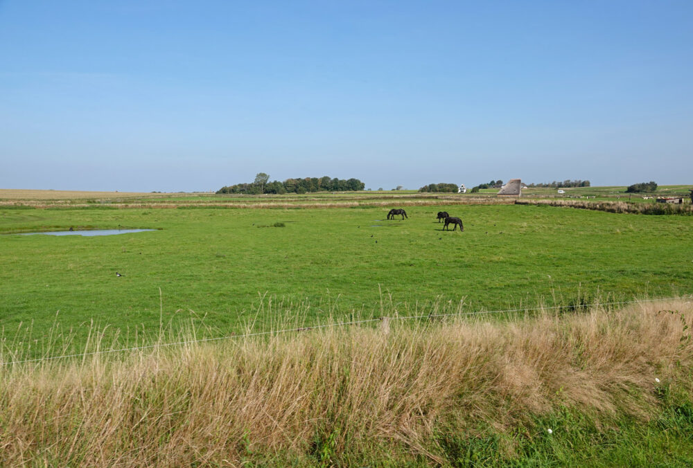 De Hoge Berg (Texel)