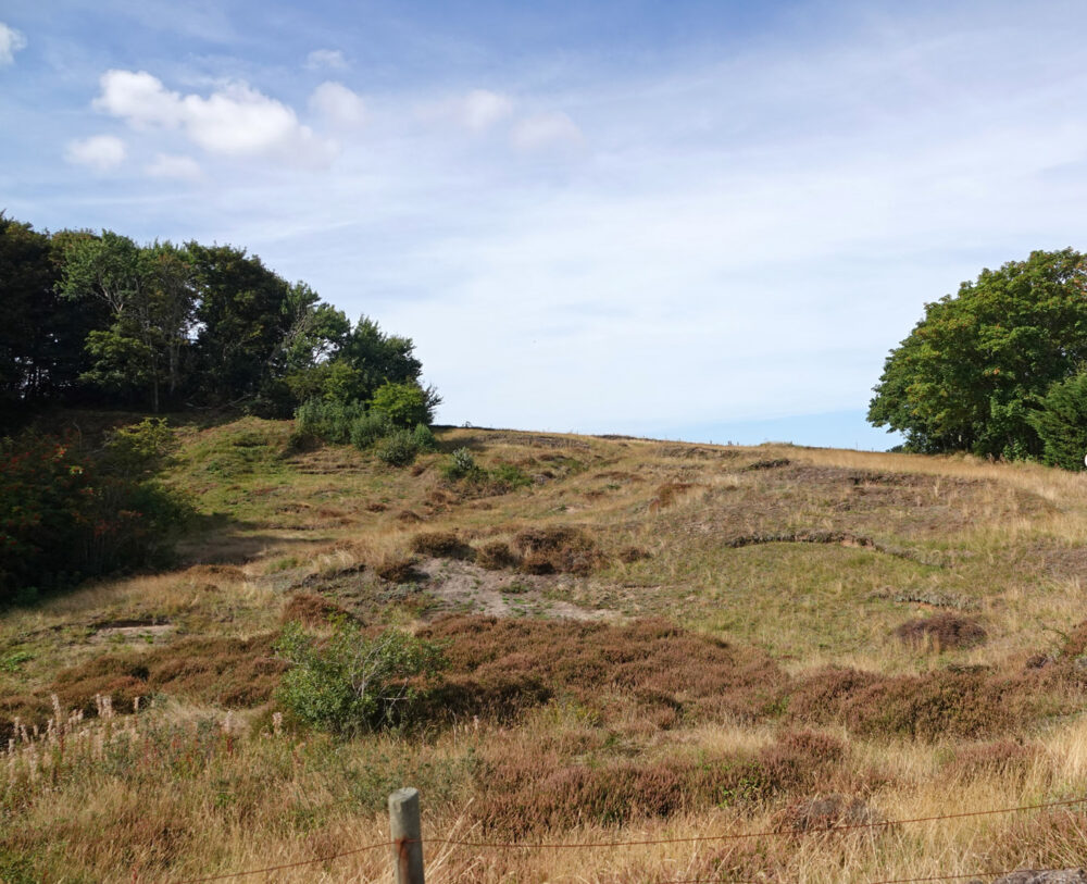 De Hoge Berg (Texel)