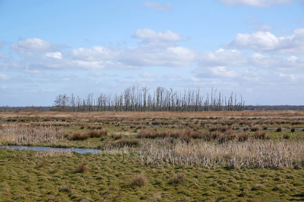 De Kampjes in de Broekenweering (Onlanden)