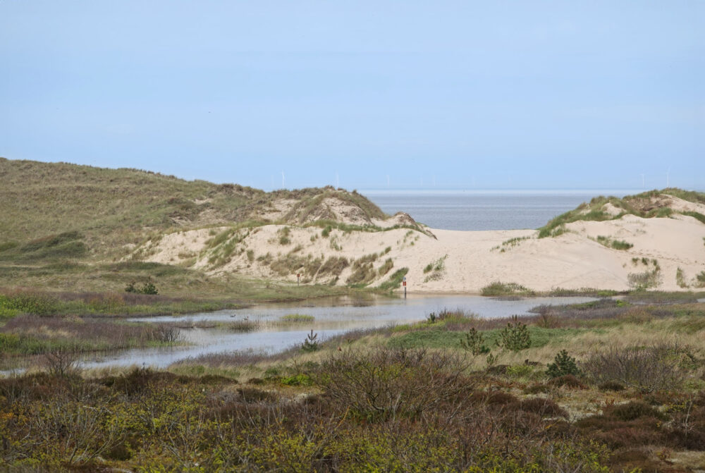 De Kerf (Schoorlse Duinen)