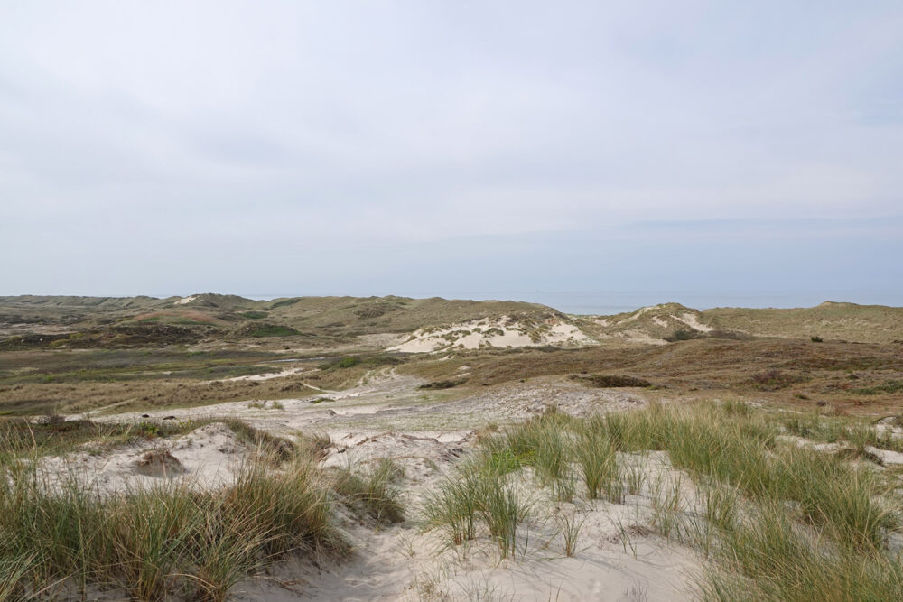 De Kerf (Schoorlse Duinen)