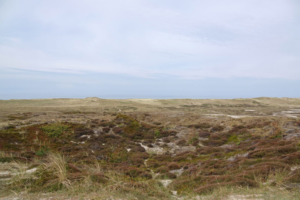 De Kerf (Schoorlse Duinen)