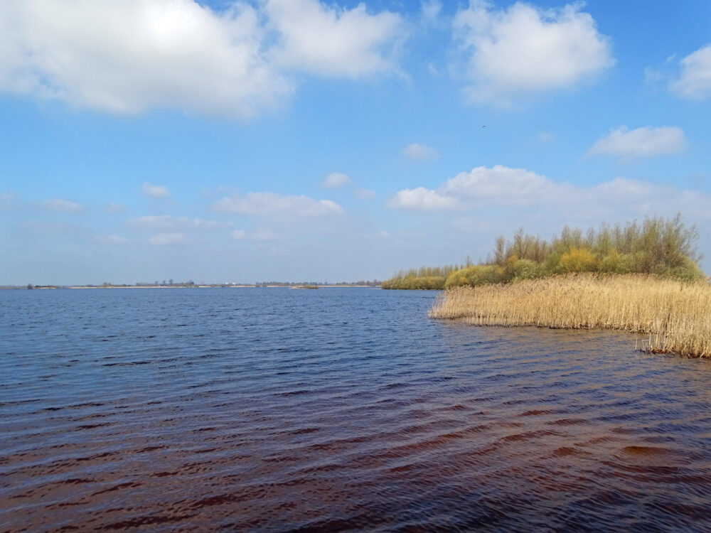 De Leijen