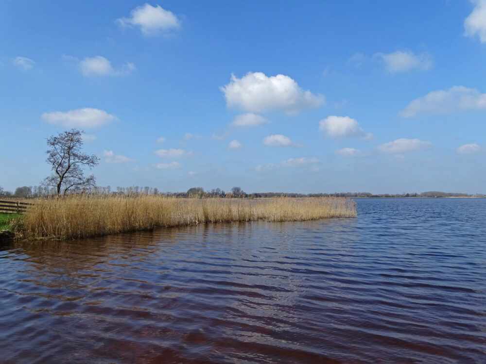 De Leijen