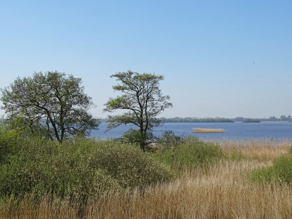 De Leijen