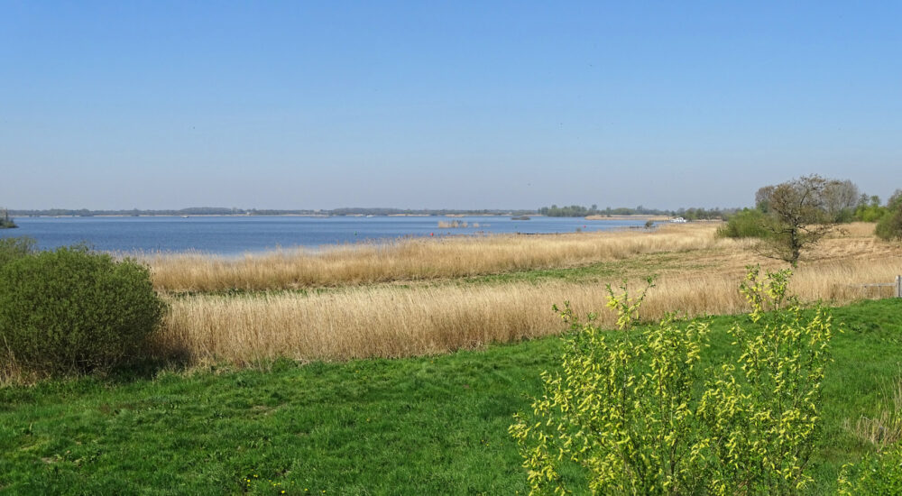 De Leijen