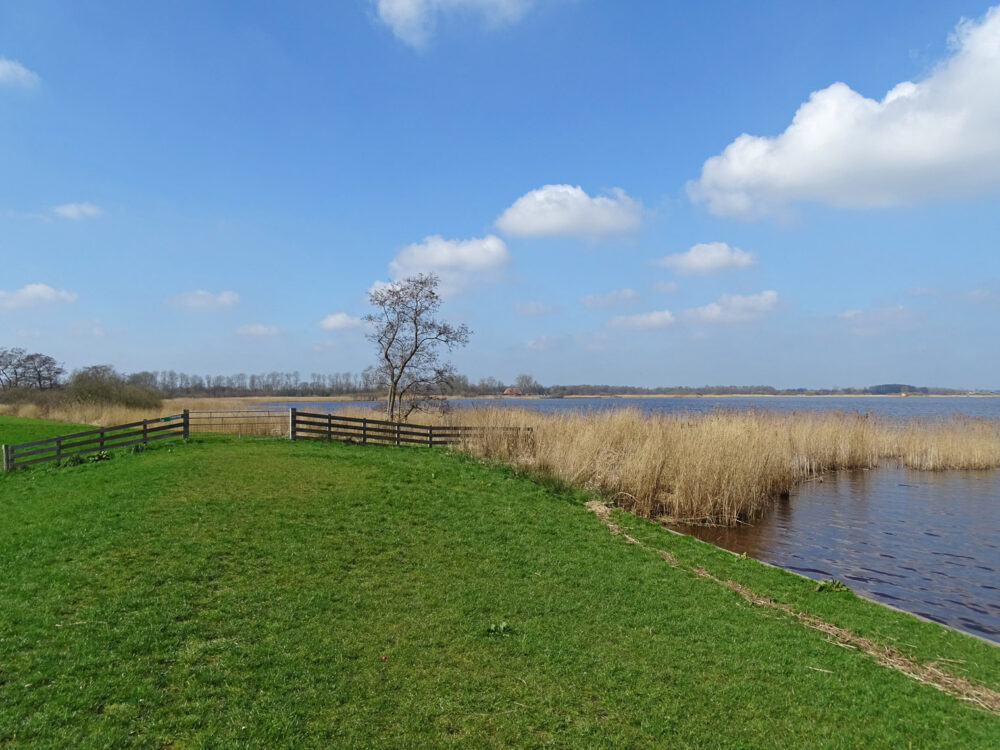 De Leijen