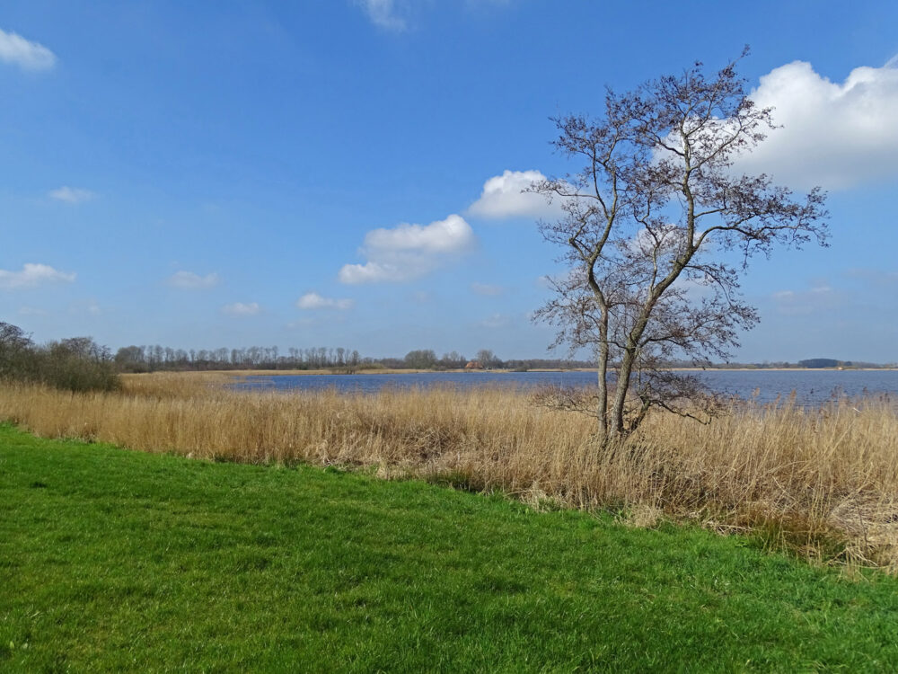 De Leijen