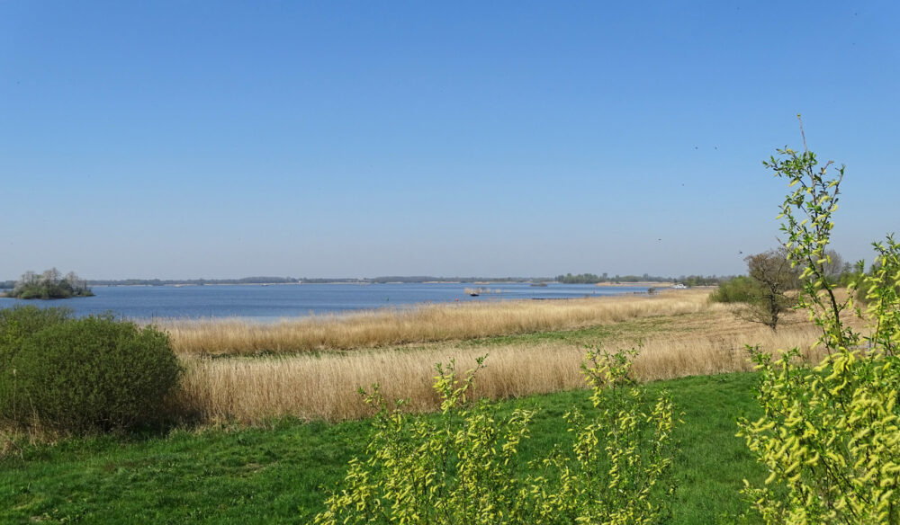 De Leijen