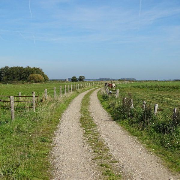 De Mheenlanden