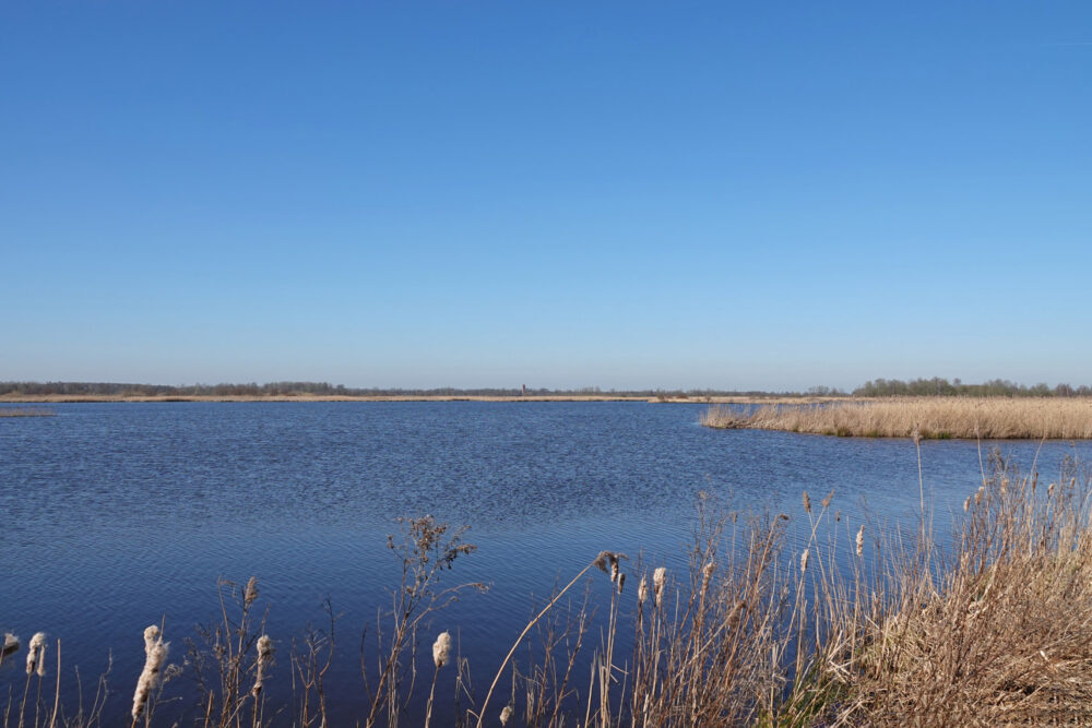 De Middelvennen (Onlanden)