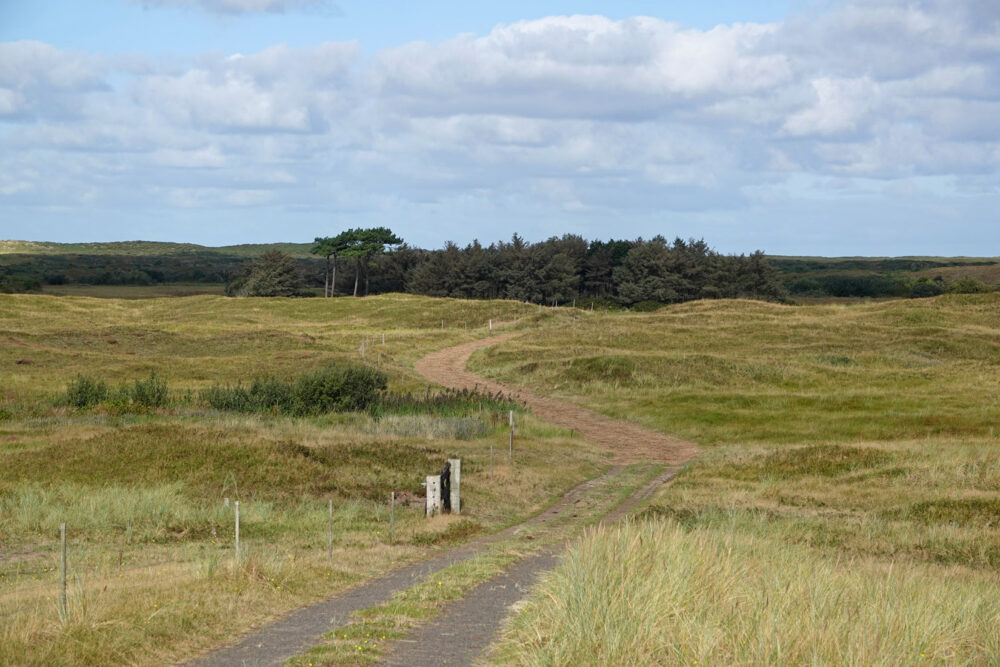 De Muy (Nationaal Park Duinen van Texel)