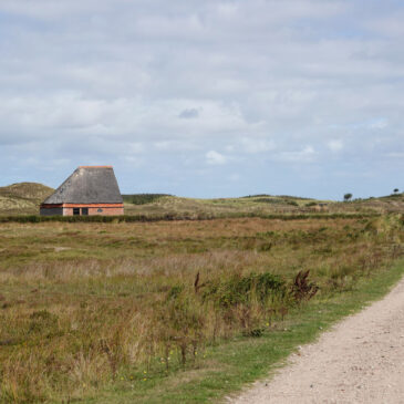 De Nederlanden (NP Duinen van Texel)