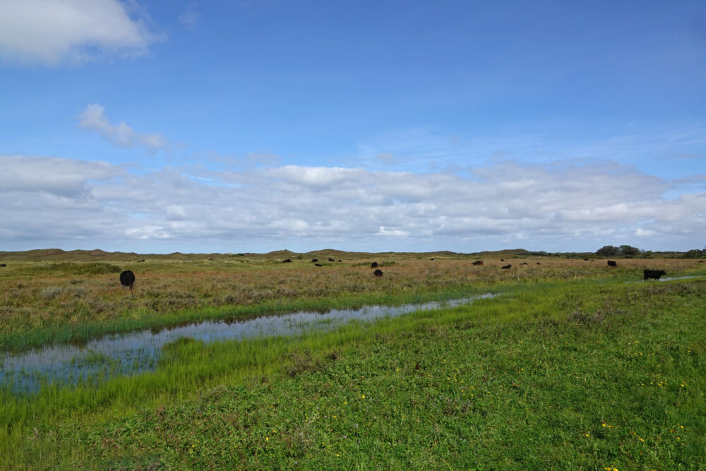 De Nederlanden (Nationaal Park Duinen van Texel)