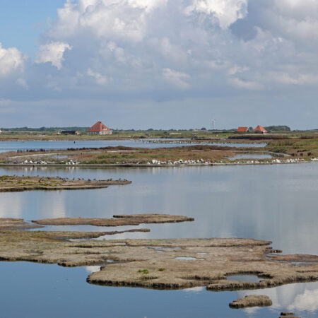 De Putten