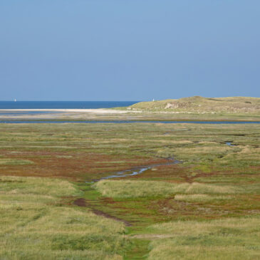 NP Duinen van Texel