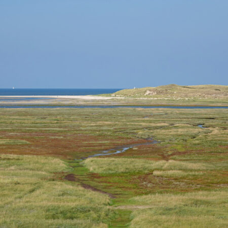 NP Duinen van Texel