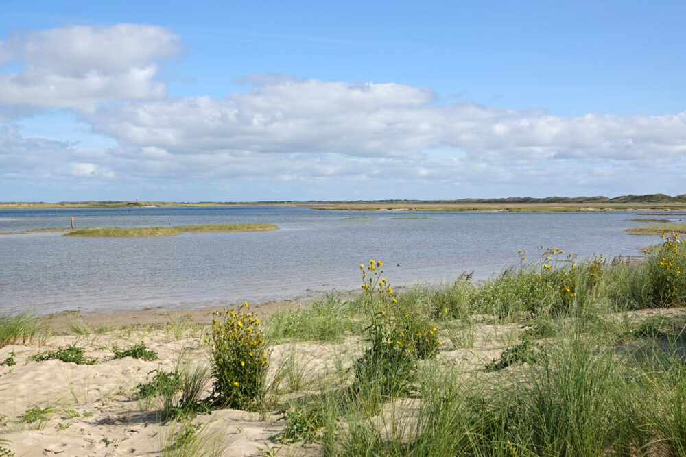 De Slufter (Nationaal Park Duinen van Texel)