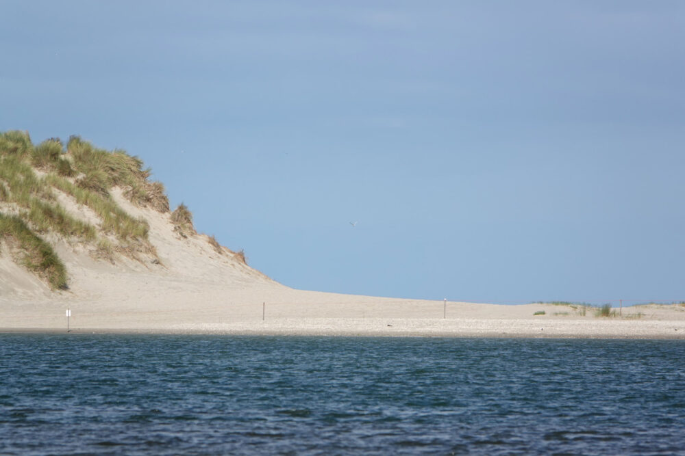 De Slufter (Nationaal Park Duinen van Texel)