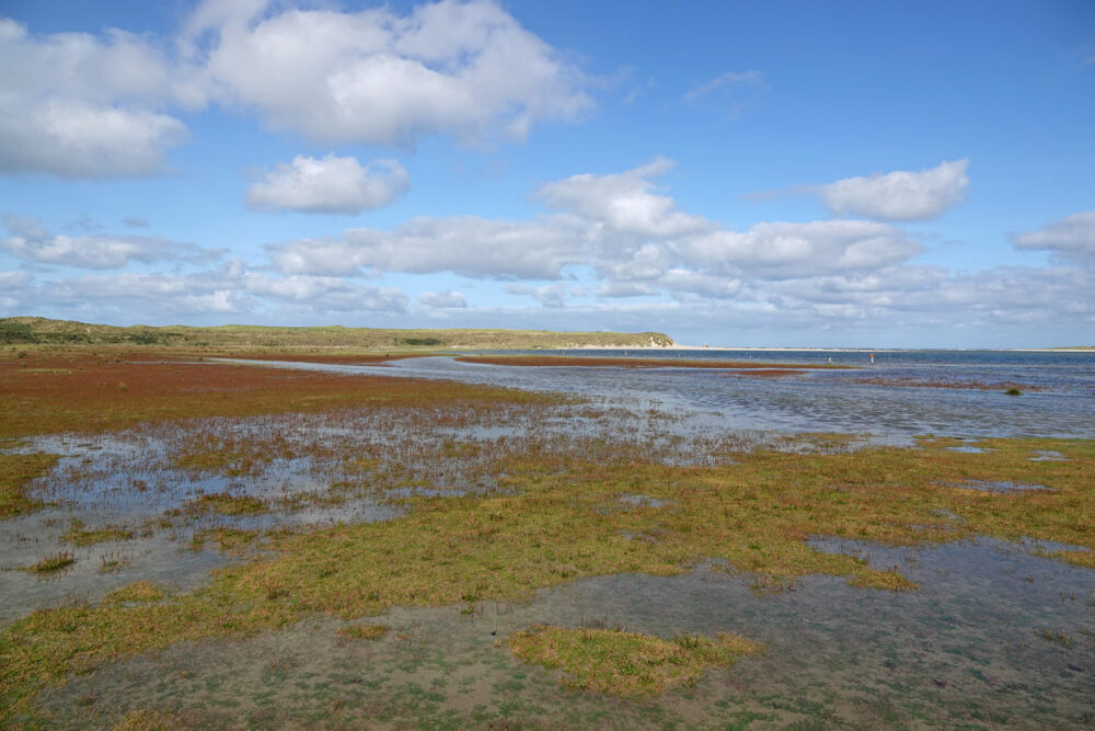 De Slufter (Nationaal Park Duinen van Texel)