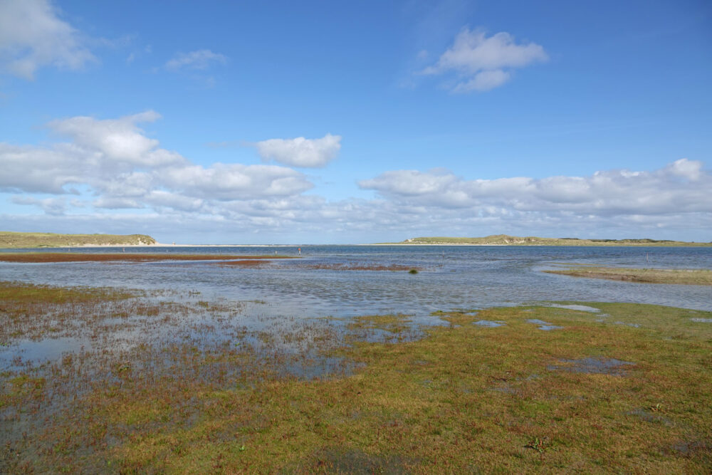 De Slufter (Nationaal Park Duinen van Texel)
