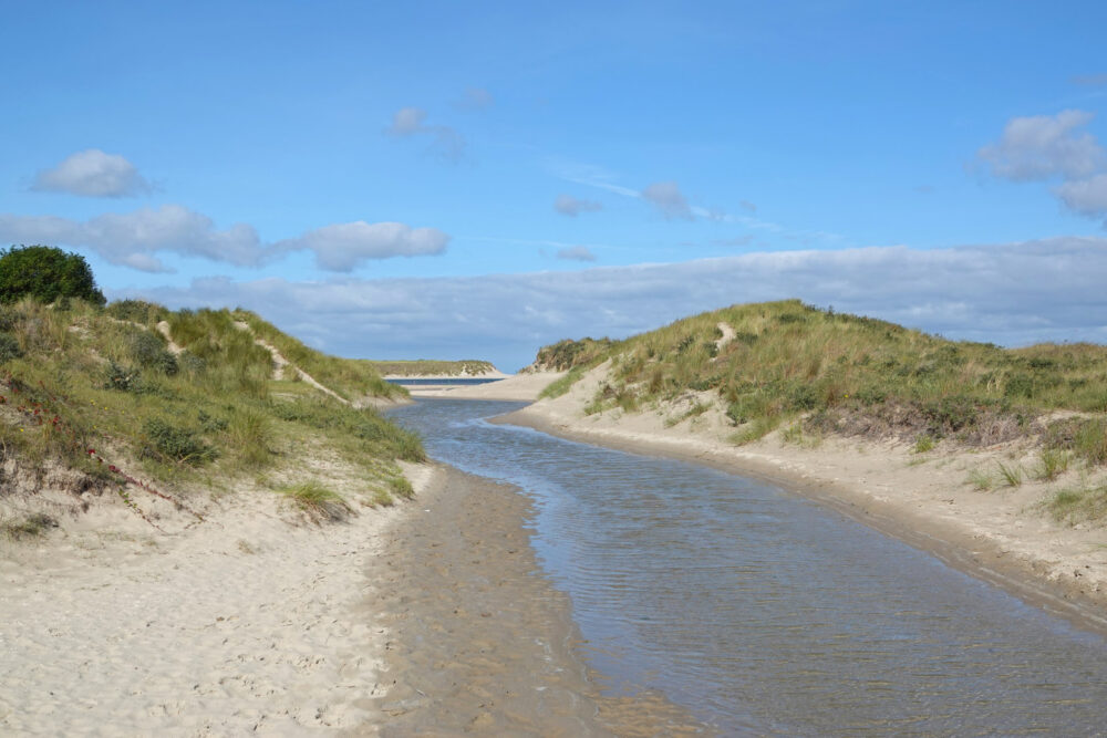 De Slufter (Nationaal Park Duinen van Texel)