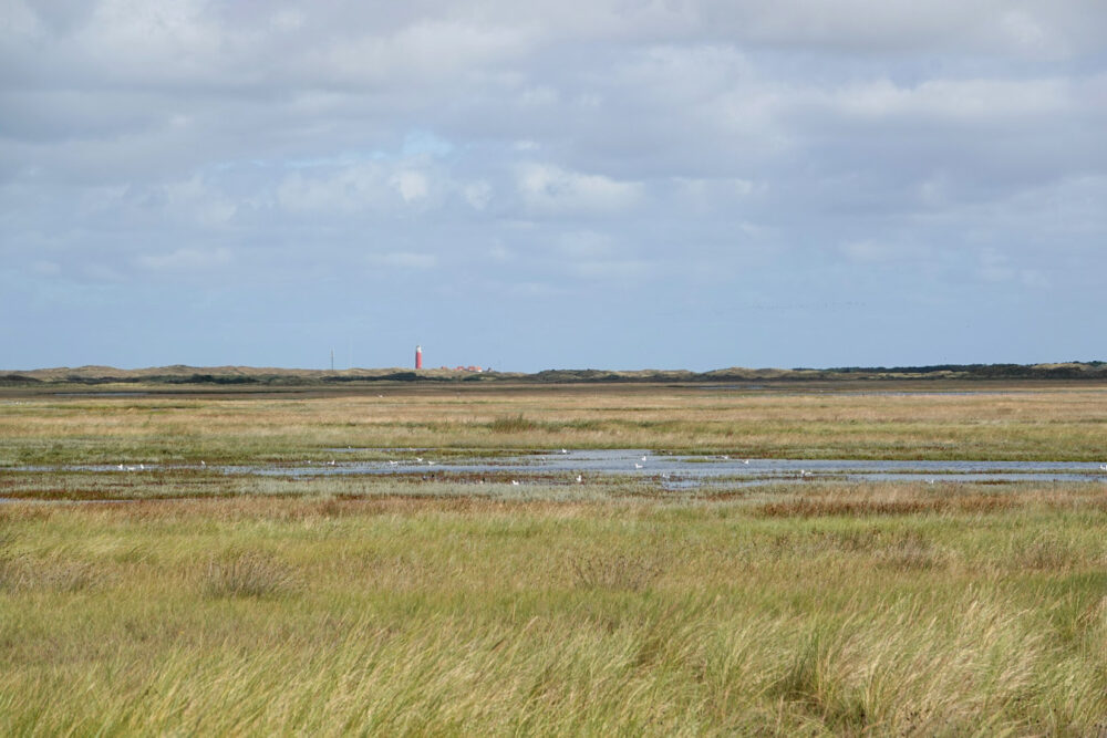 De Slufter (Nationaal Park Duinen van Texel)