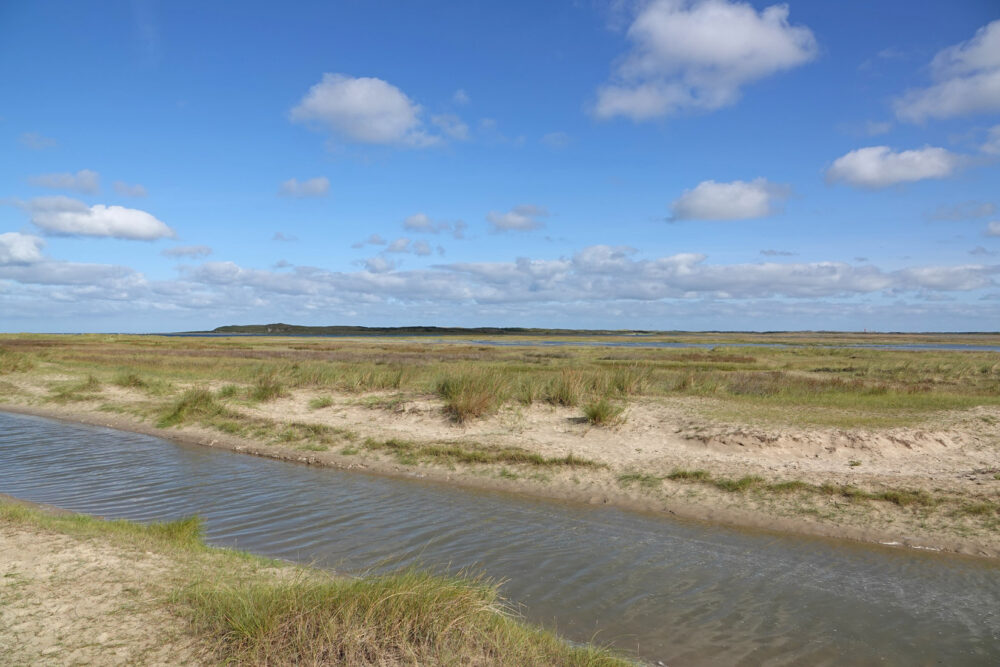 De Slufter (Nationaal Park Duinen van Texel)
