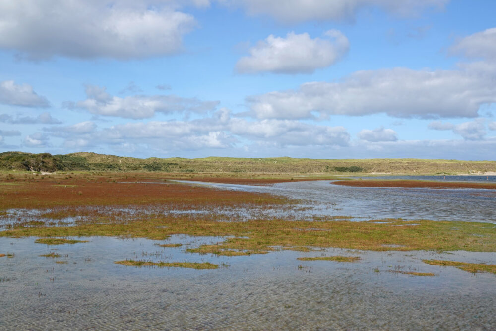 De Slufter (Nationaal Park Duinen van Texel)