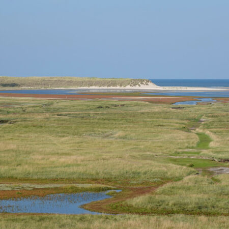 De Slufter (NP Duinen van Texel)