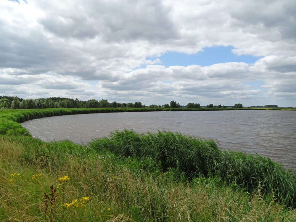 De Tjamme (Groninger Stuwwallen)