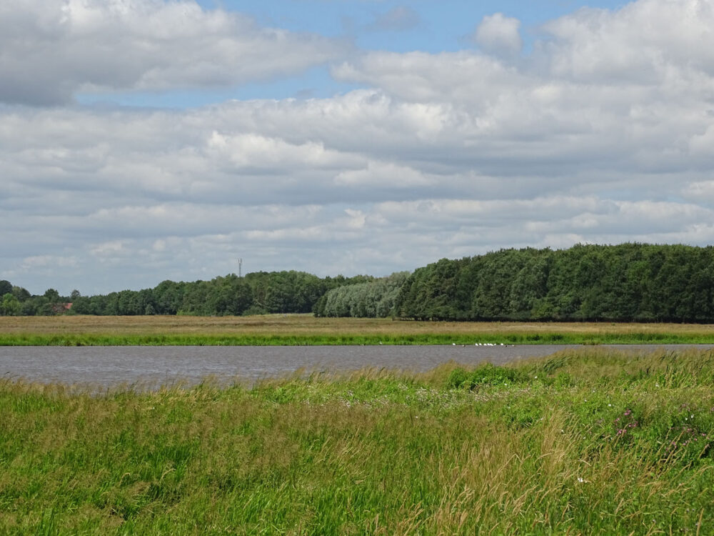 De Tjamme (Groninger Stuwwallen)